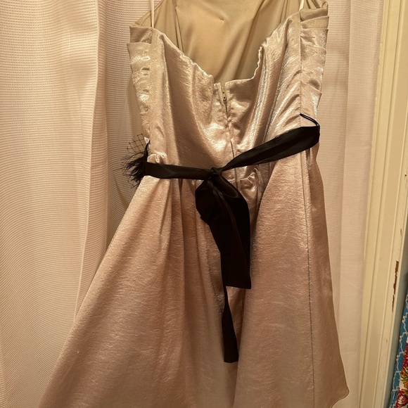 City Studios Champagne Cocktail Dress - (Lydia Martin Look-Alike from Teen Wolf) - Picture 5 of 7